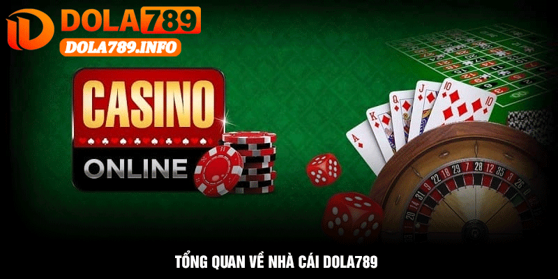 Tổng Quan Về Nhà Cái Dola789