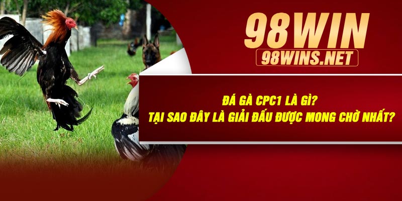 Đá Gà CPC1 Là Gì? Tại Sao Đây Là Giải Đấu Được Mong Chờ Nhất?