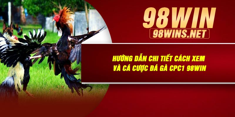 Hướng Dẫn Chi Tiết Cách Xem Và Cá Cược Đá Gà CPC1 98Win