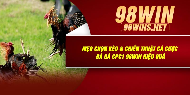 Mẹo Chọn Kèo & Chiến Thuật Cá Cược Đá Gà CPC1 98Win Hiệu Quả